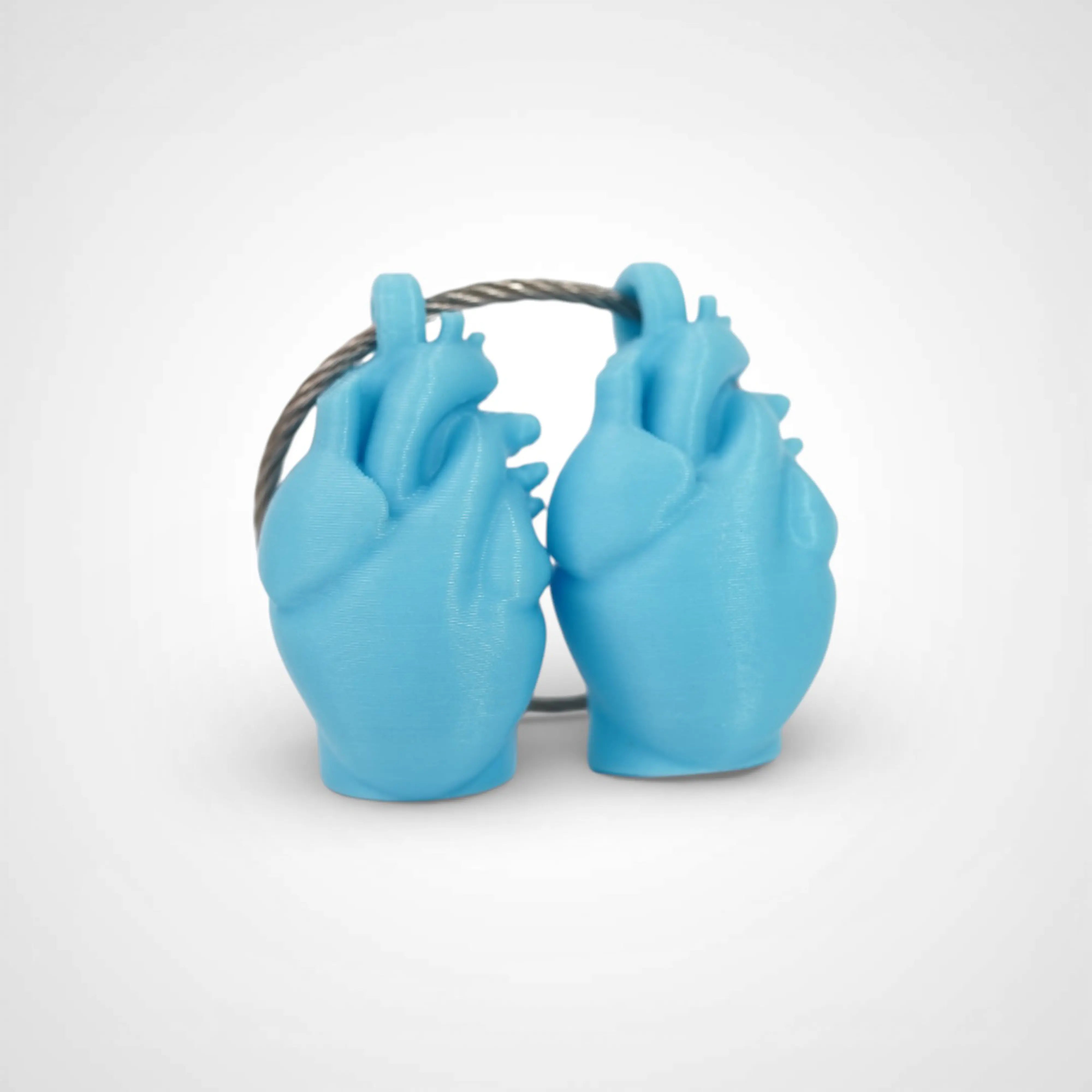 Two blue polylactic acid created using additive manufacturing anatomical heart cap clip on steel cable keyring. Shown on white background.