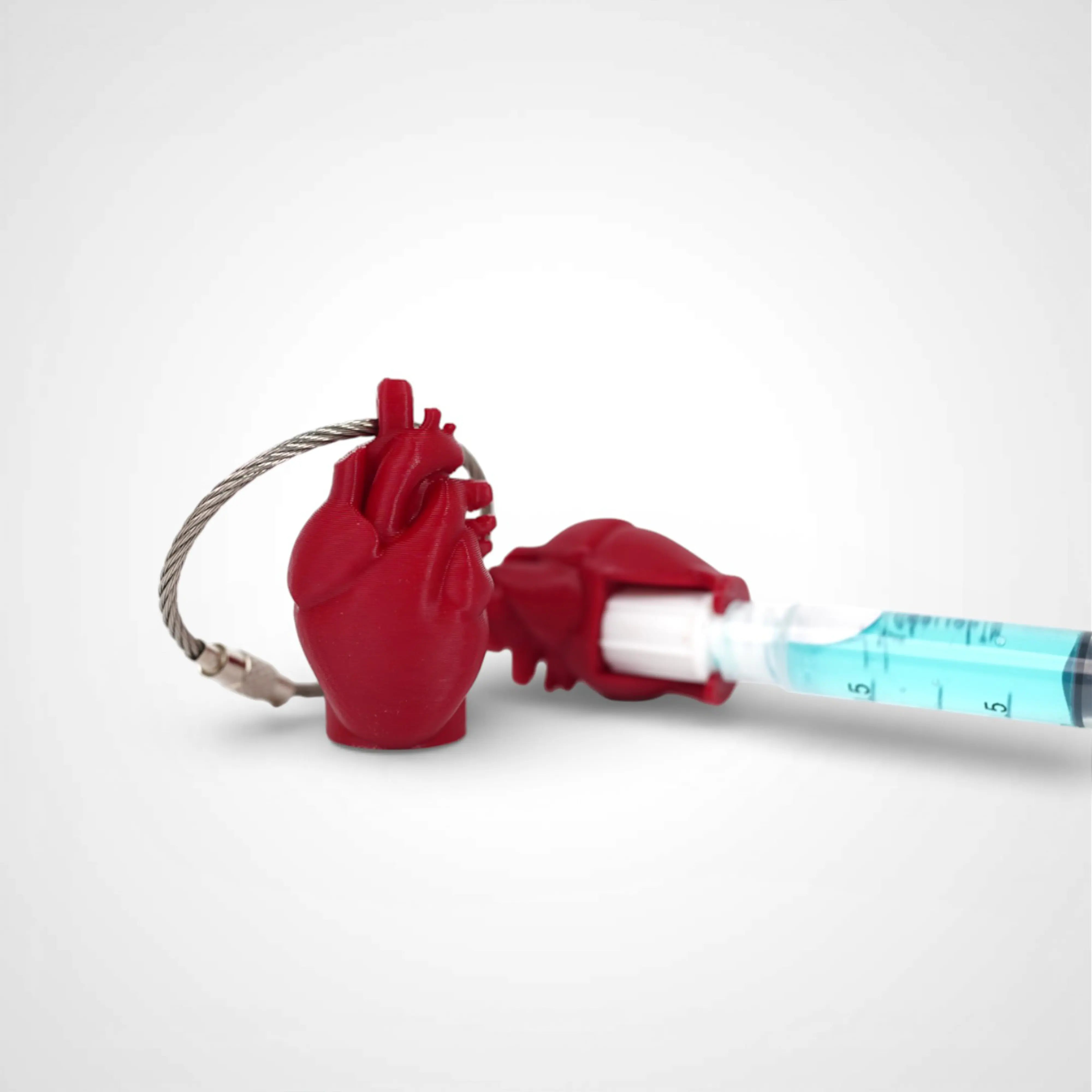 Two red polylactic acid created using additive manufacturing anatomical heart cap clips on steel cable keyring. Featured attached to a syringe. Shown on a white background.