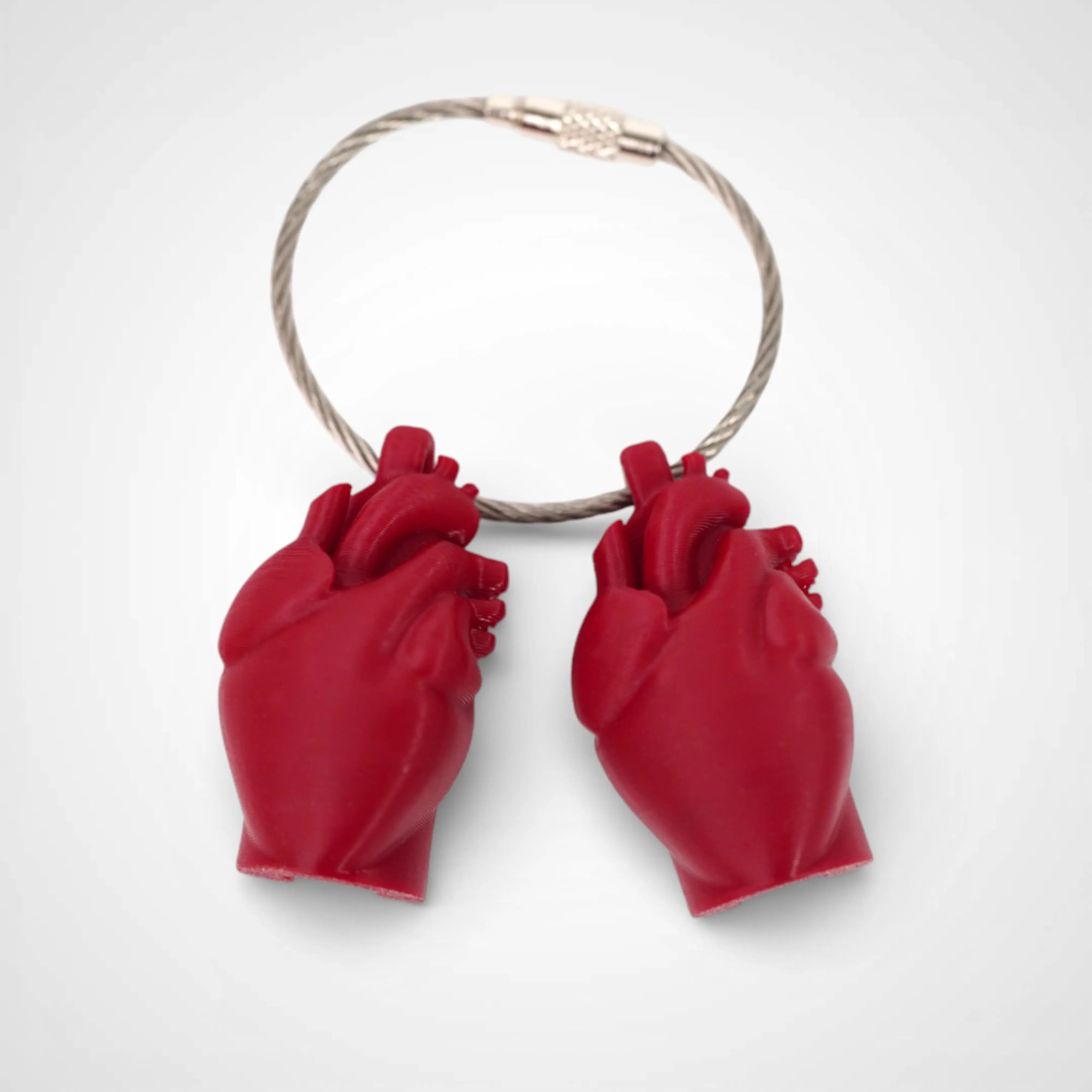 Two red polylactic acid created using additive manufacturing anatomical heart cap clips on steel cable keyring. Shown on a white background.