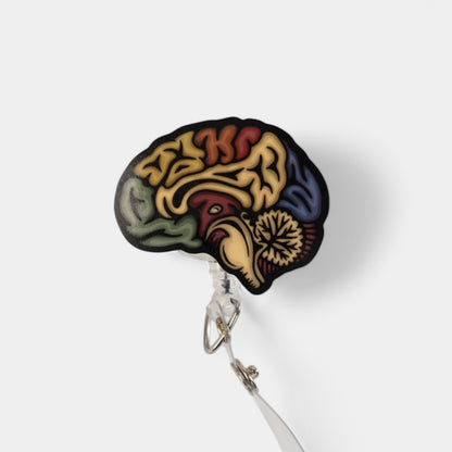 Sagittal Brain